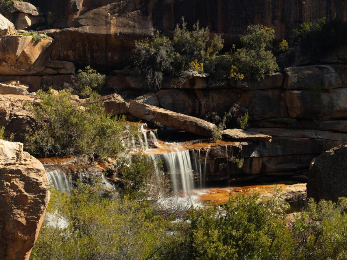 Alpha Excelsior Guest Farm * Clanwilliam