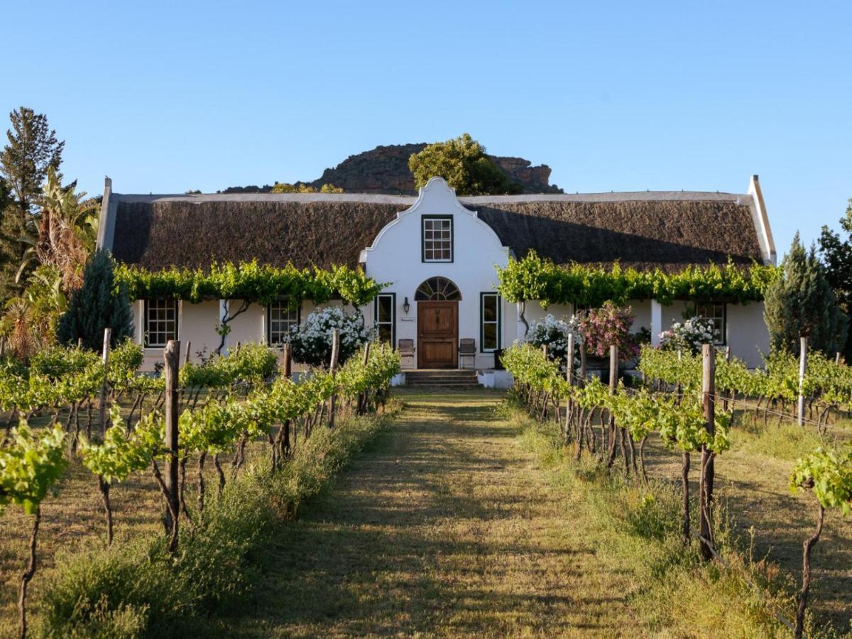 Farm stay Alpha Excelsior Guest Farm Clanwilliam