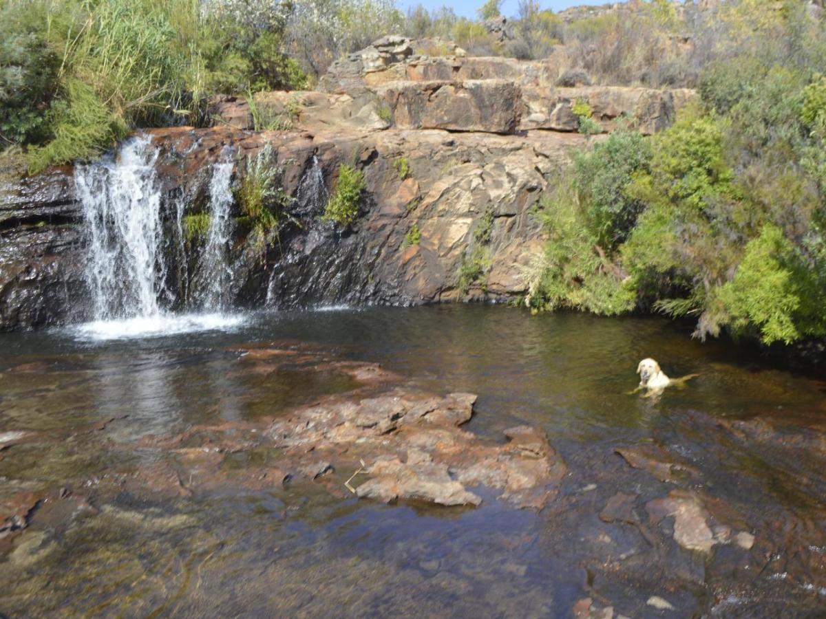 Farm stay Alpha Excelsior Guest Farm Clanwilliam