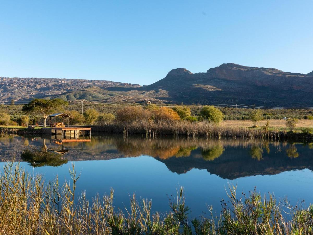 Farm stay Alpha Excelsior Guest Farm