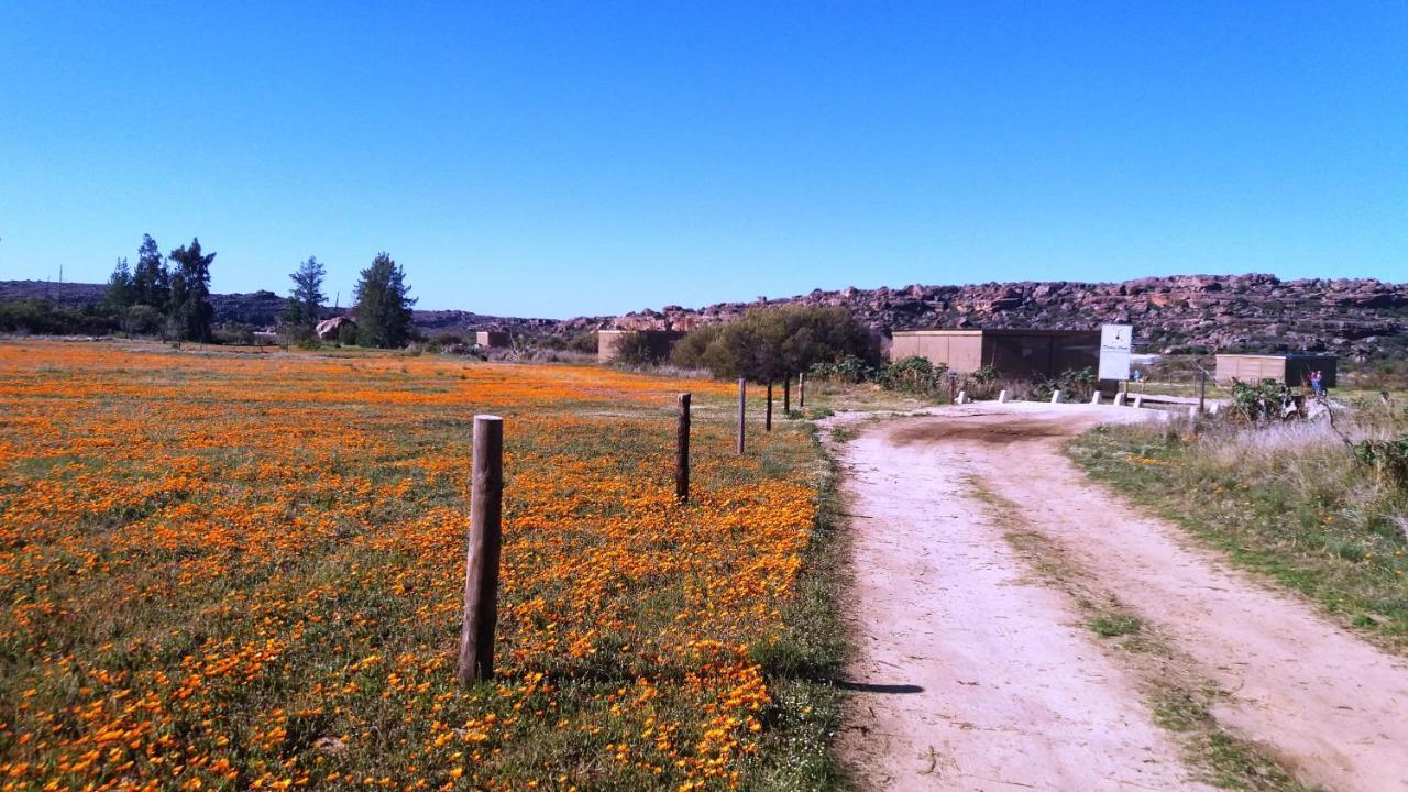 Alpha Excelsior Guest Farm *
