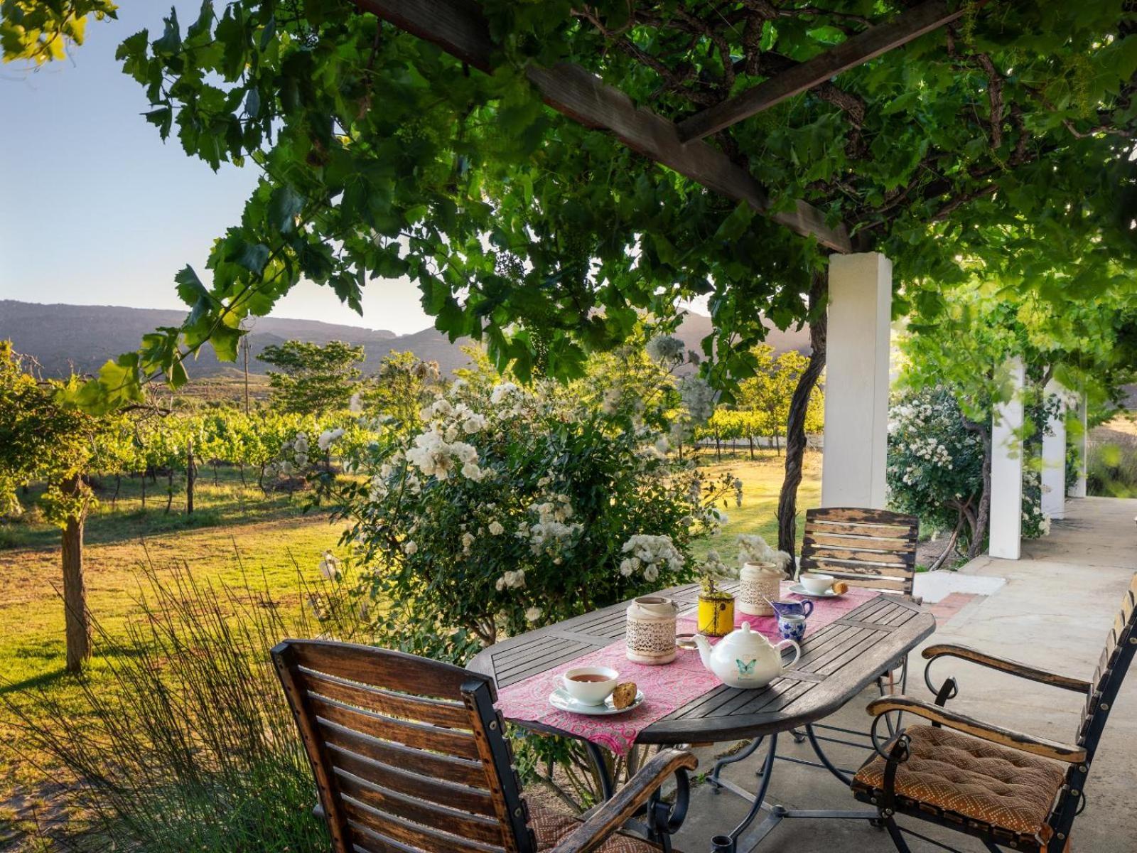 Farm stay Alpha Excelsior Guest Farm *