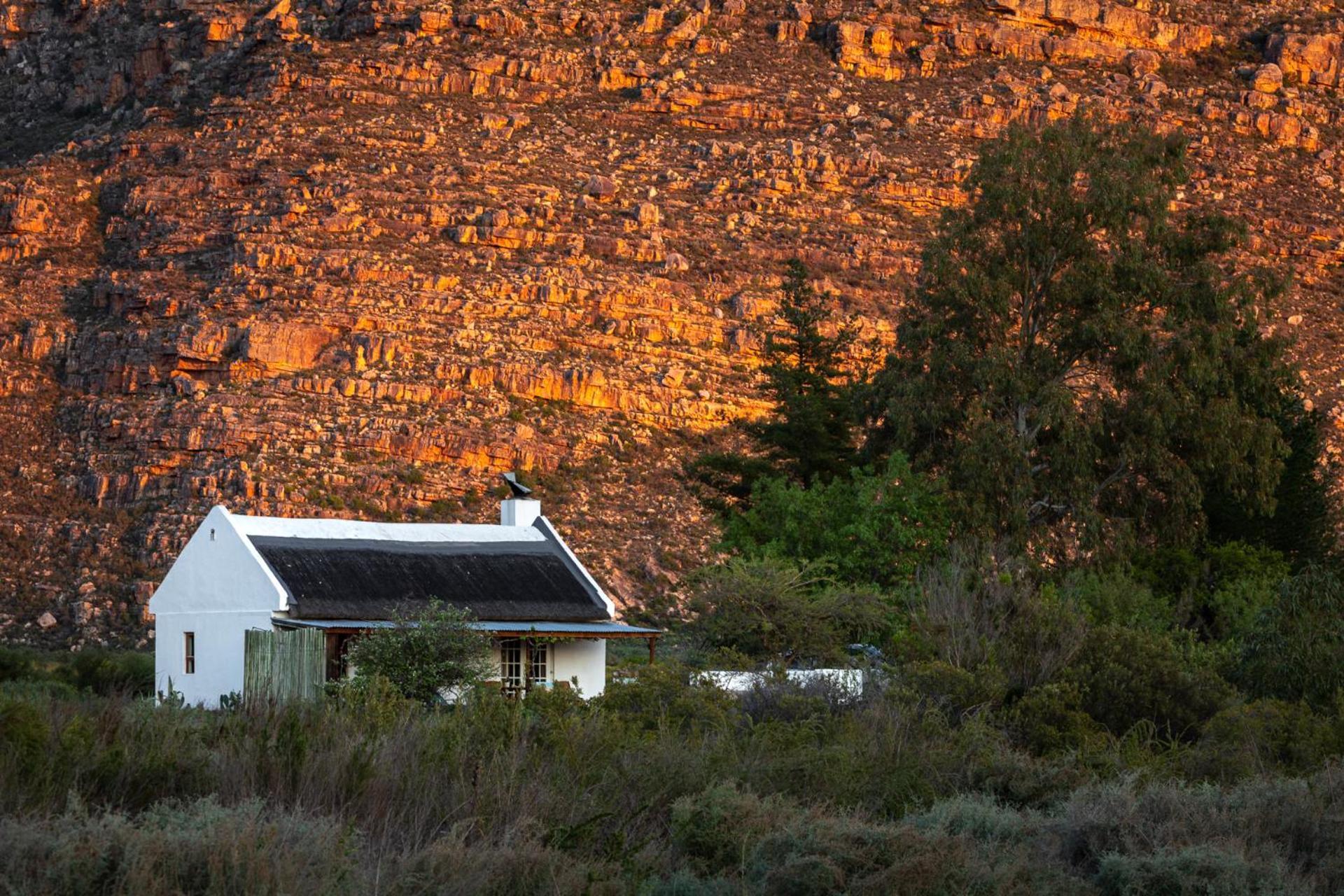 Farm stay Alpha Excelsior Guest Farm